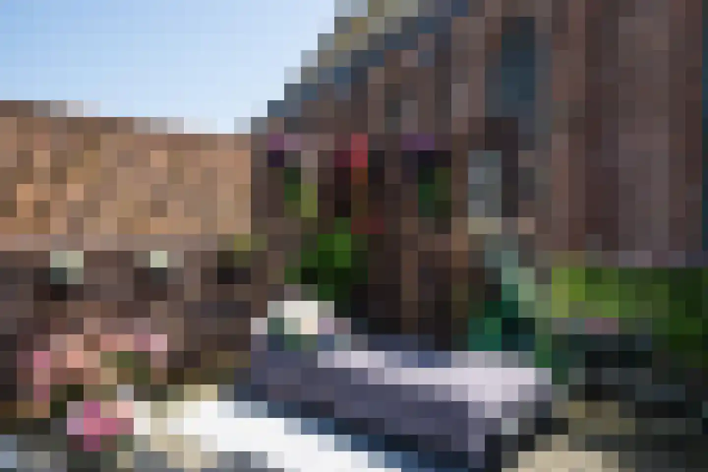 Binnenburg 4 Den Burg thumbnail 31