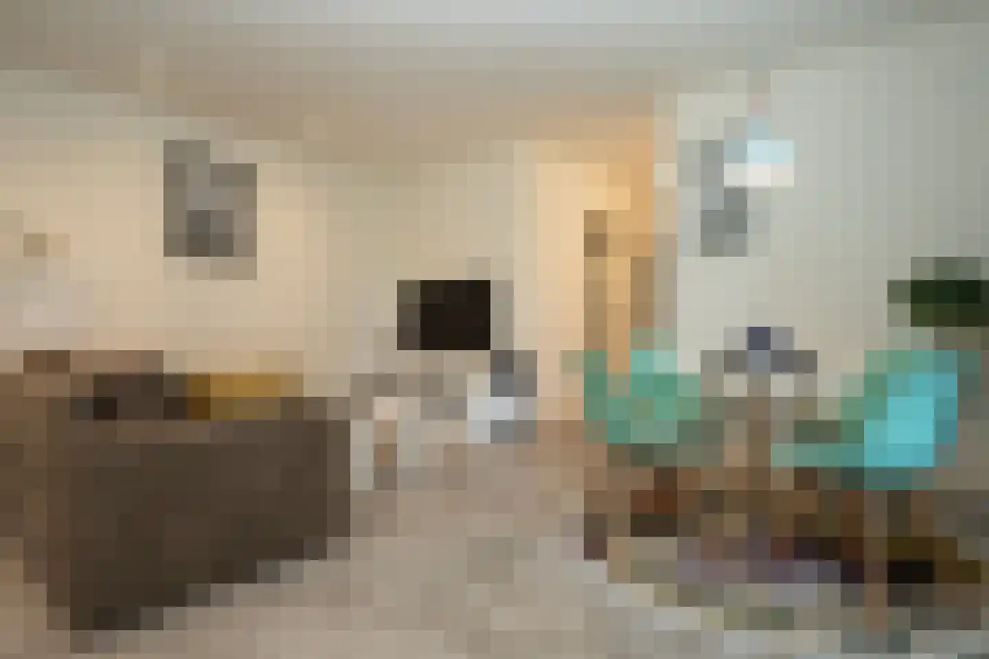Binnenburg 4 Den Burg thumbnail 38