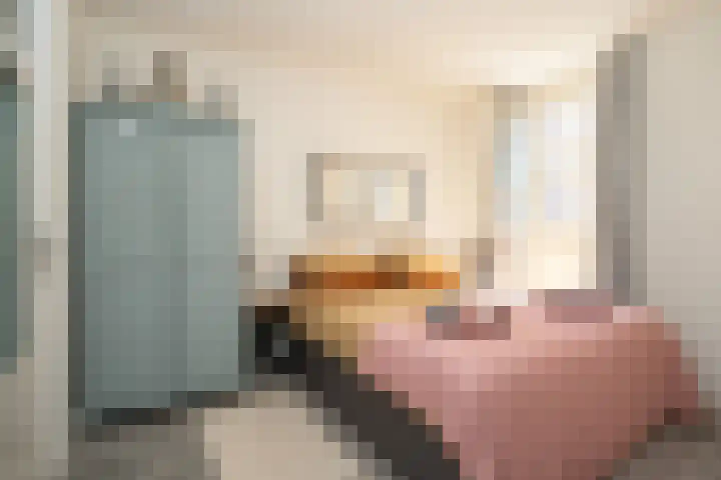 Binnenburg 4 Den Burg thumbnail 45