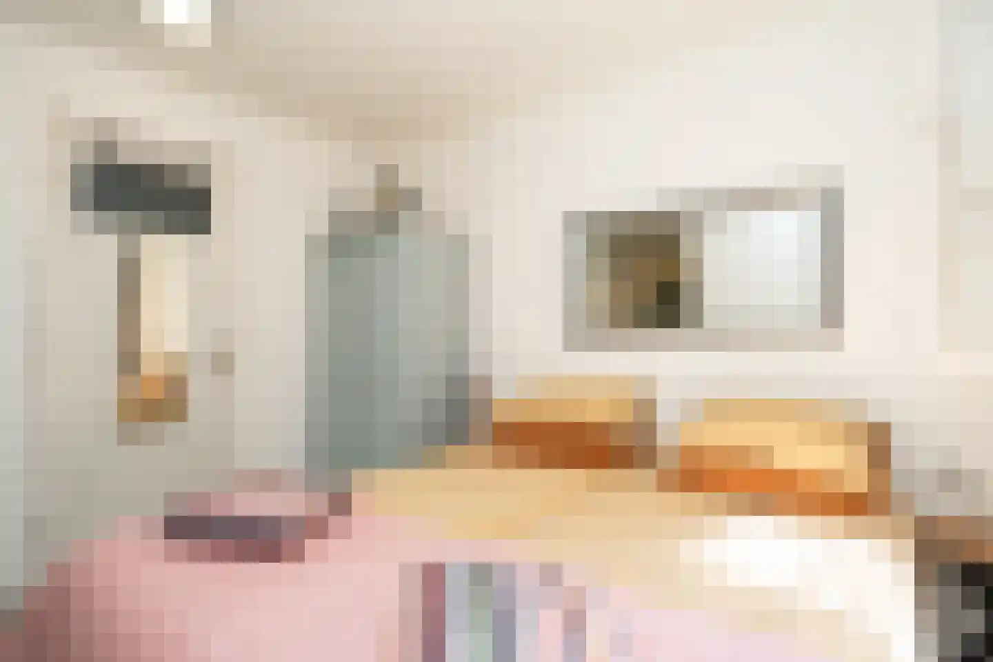Binnenburg 4 Den Burg thumbnail 47