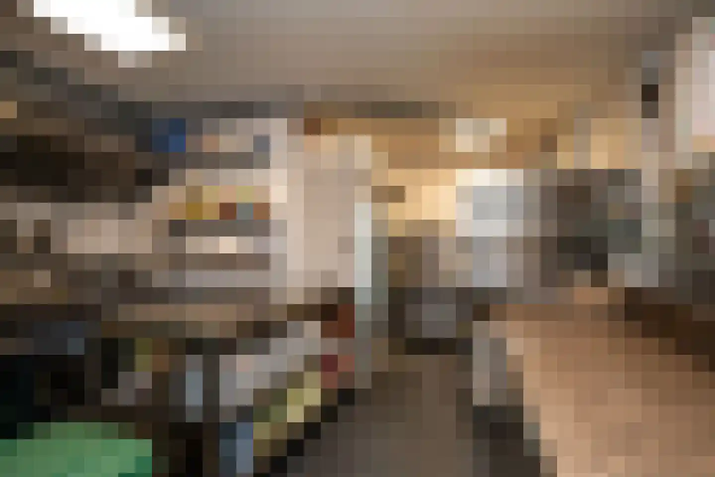 Binnenburg 4 Den Burg thumbnail 55
