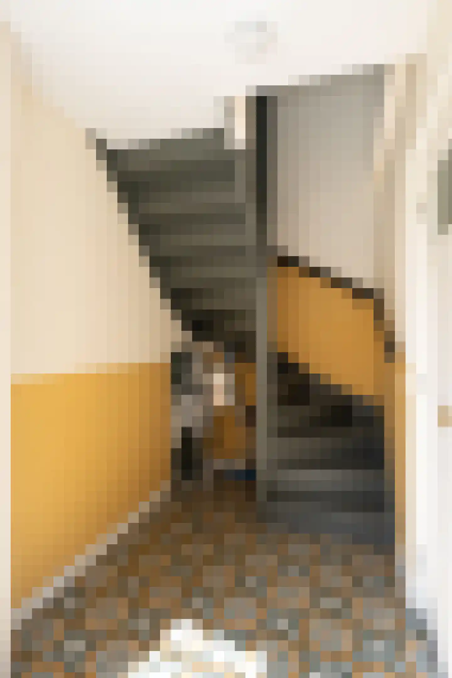 Binnenburg 4 Den Burg thumbnail 6