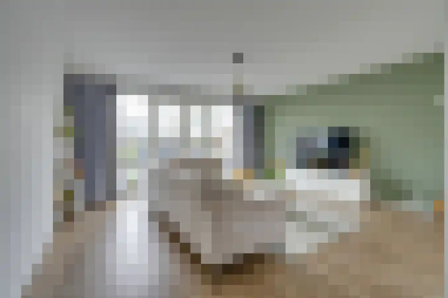 Binnenbuurt 2 Purmerend thumbnail 11