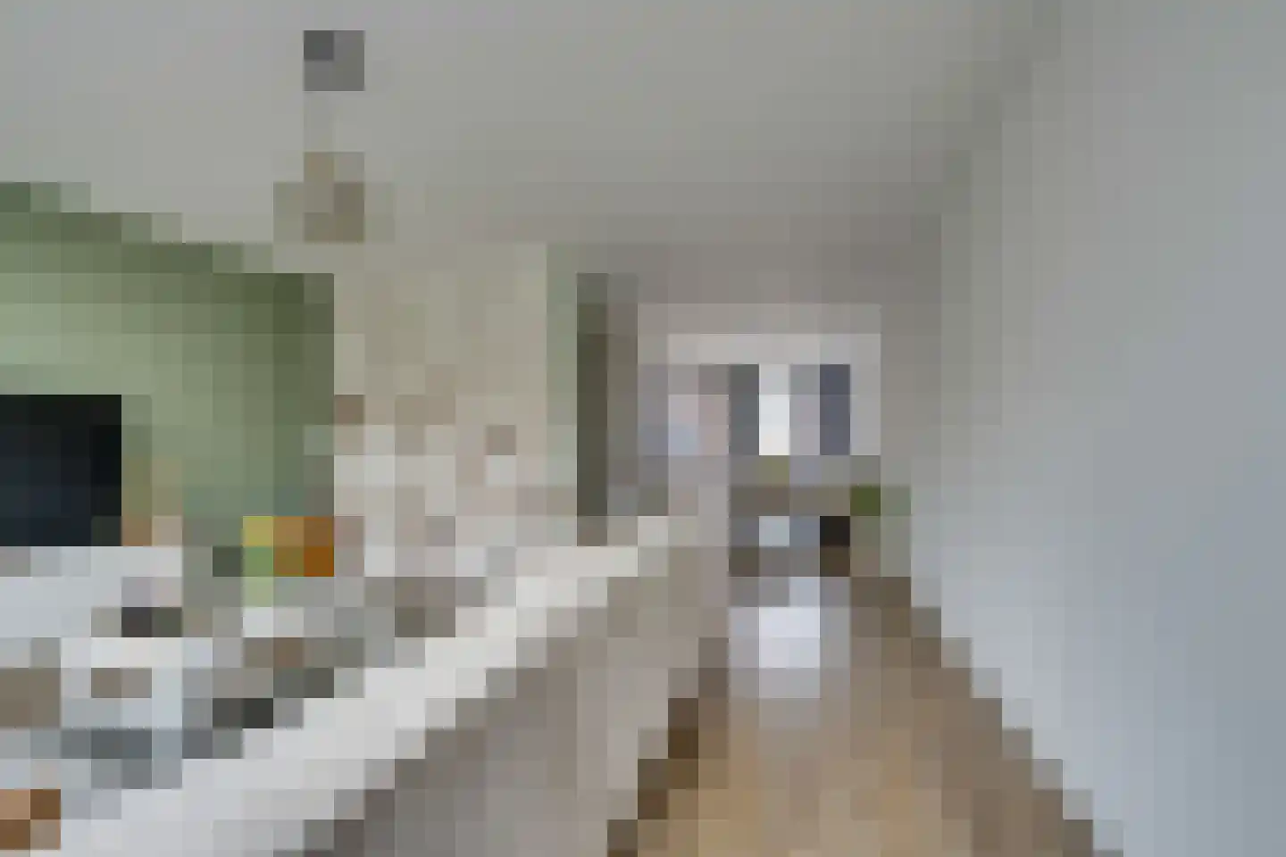 Binnenbuurt 2 Purmerend thumbnail 15