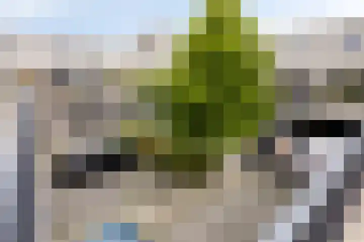 Binnenbuurt 9 Purmerend thumbnail 38
