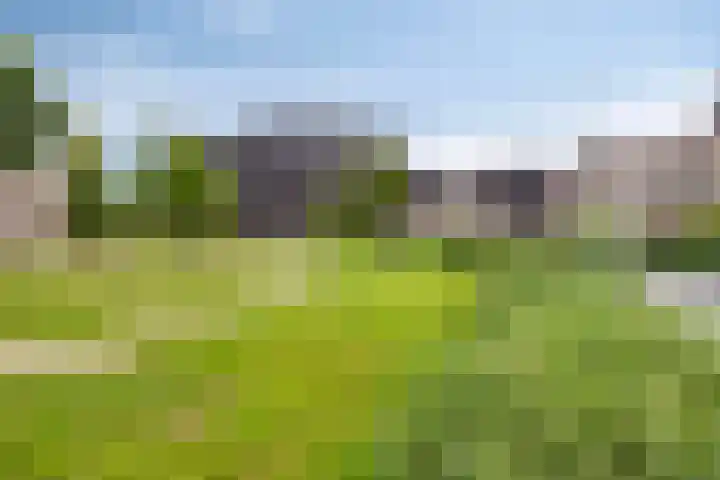 Binnenbuurt 9 Purmerend thumbnail 46