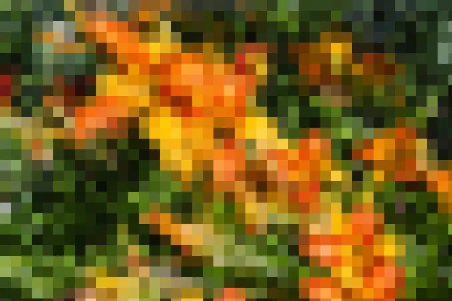 Binnendams 10 A Hardinxveld-Giessendam thumbnail 19