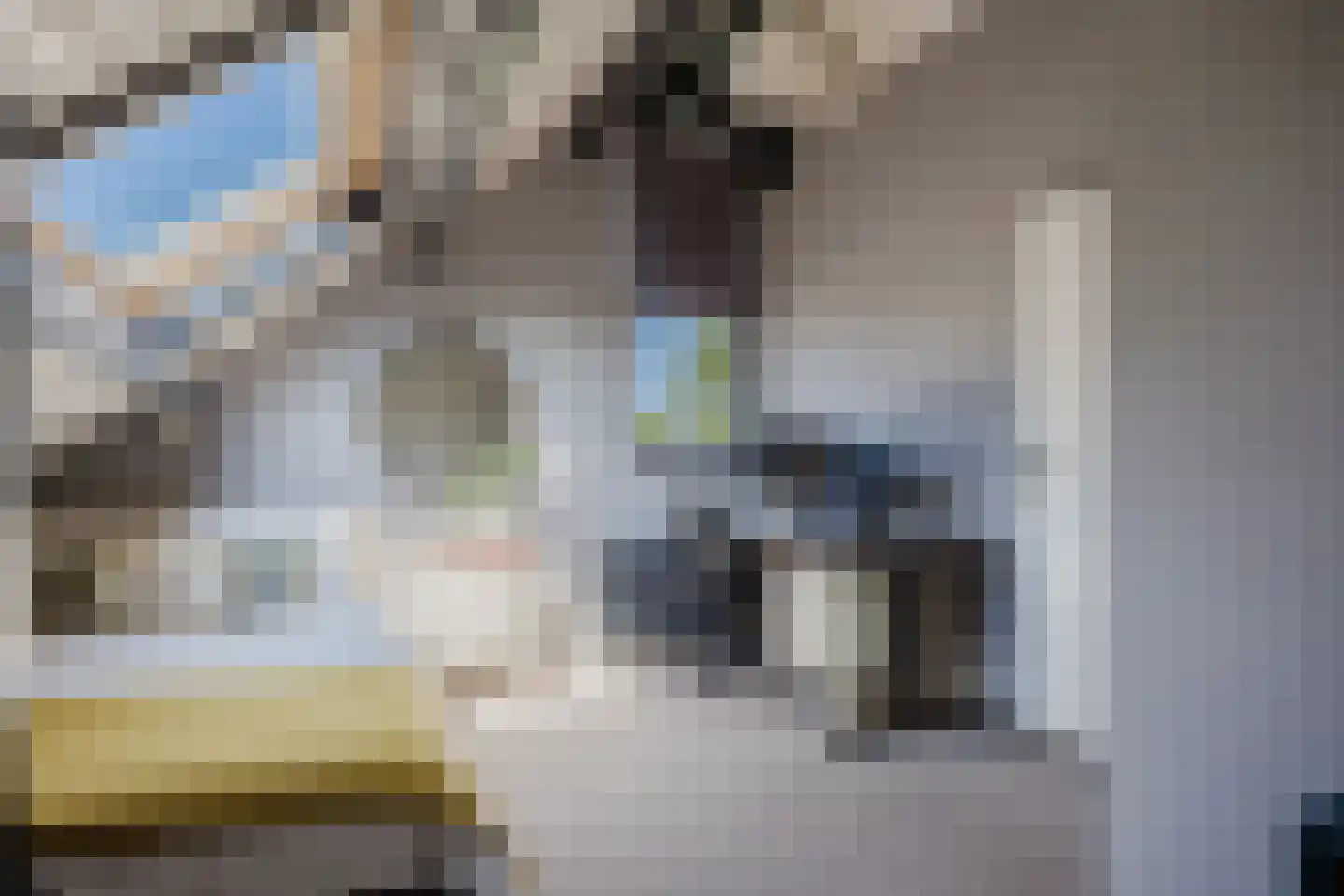 Binnendams 10 A Hardinxveld-Giessendam thumbnail 34
