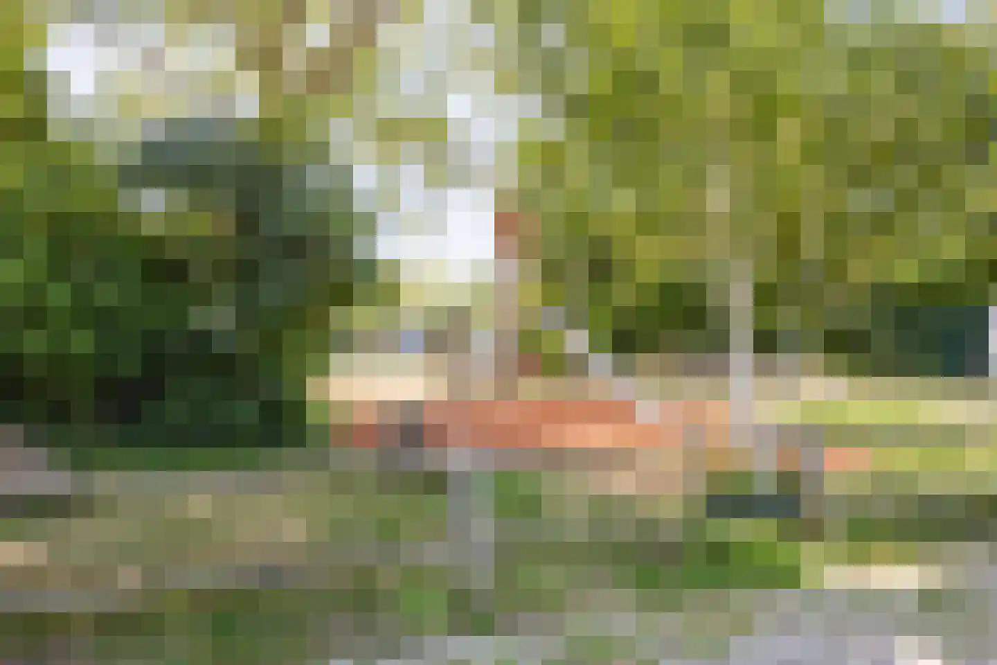 Binnendams 10 A Hardinxveld-Giessendam thumbnail 45