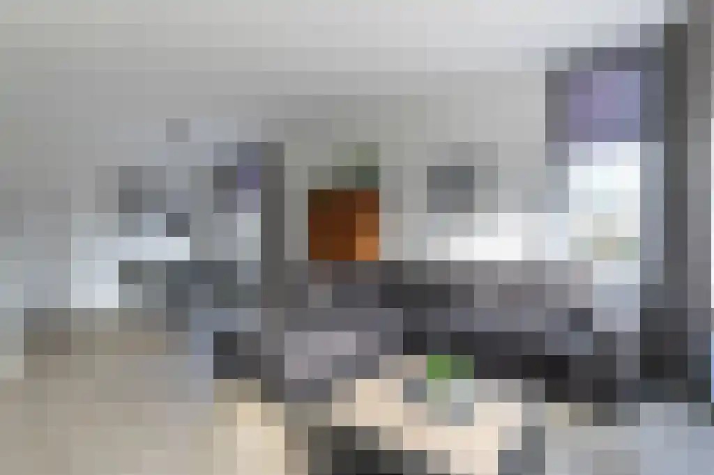 Binnendams 52 Hardinxveld-Giessendam thumbnail 6