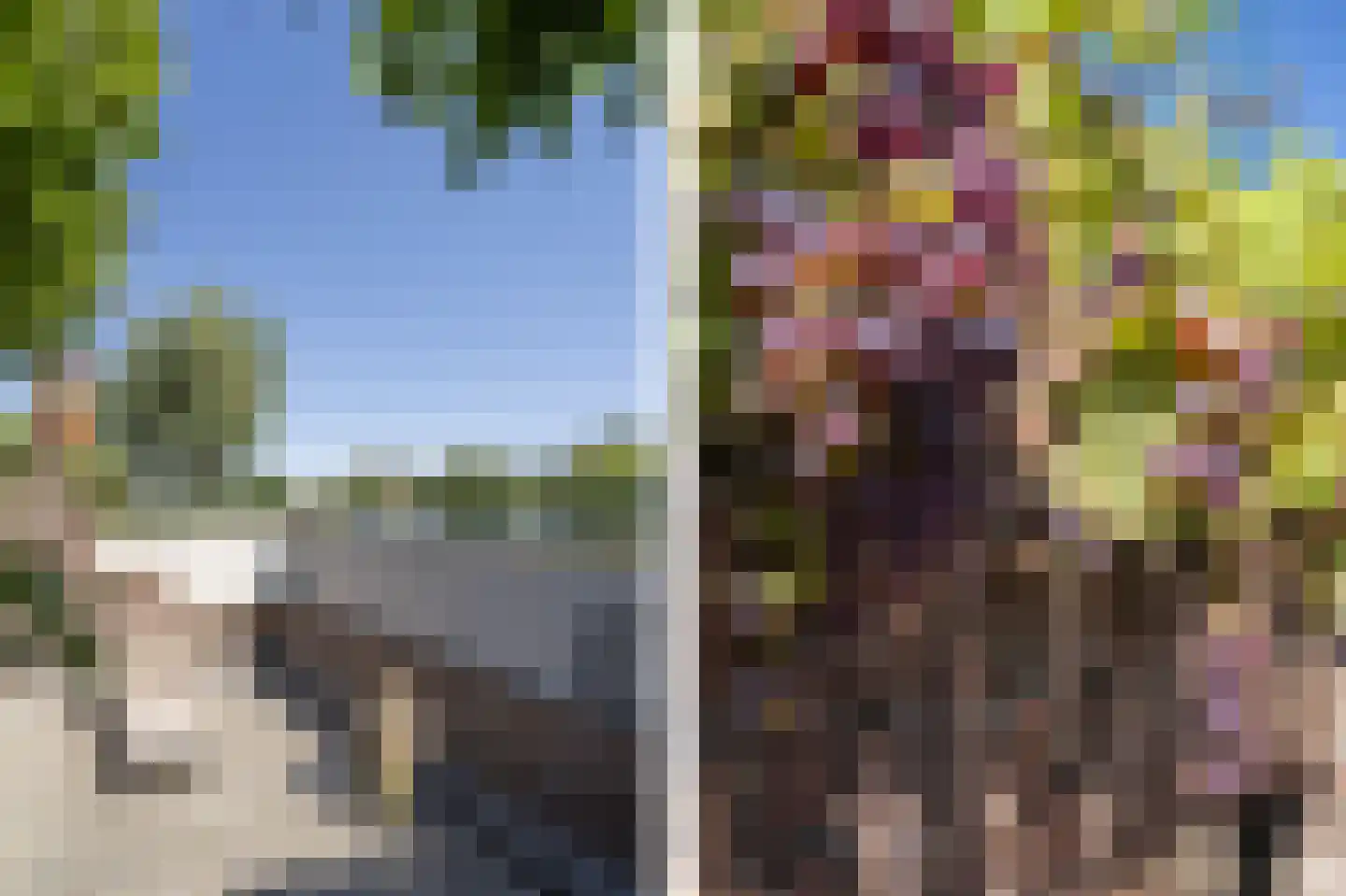 Binnendamseweg 19 Giessenburg thumbnail 31