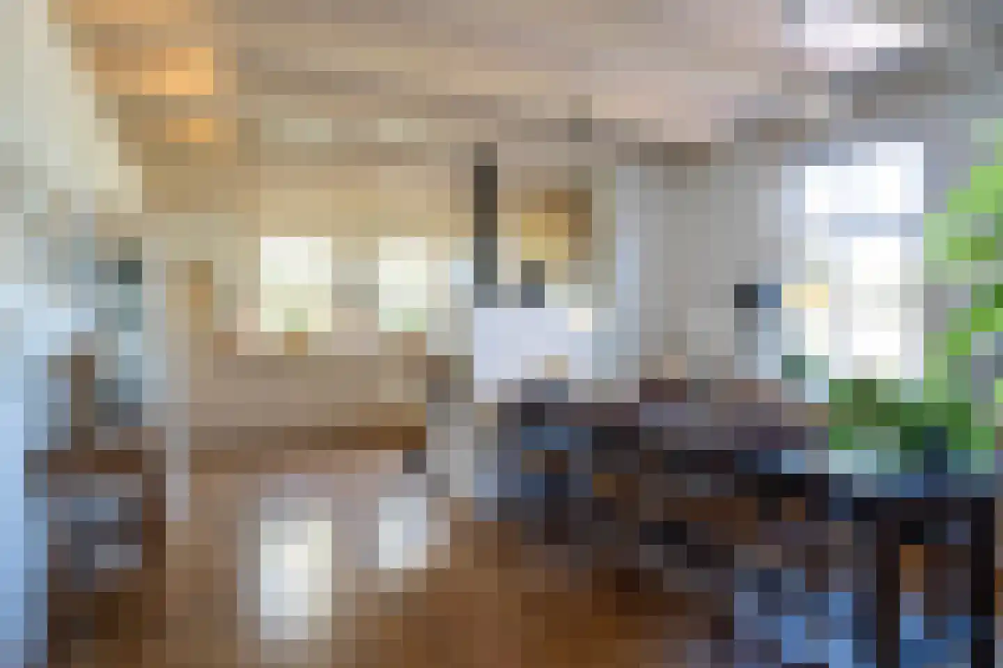 Binnendamseweg 19 Giessenburg thumbnail 5