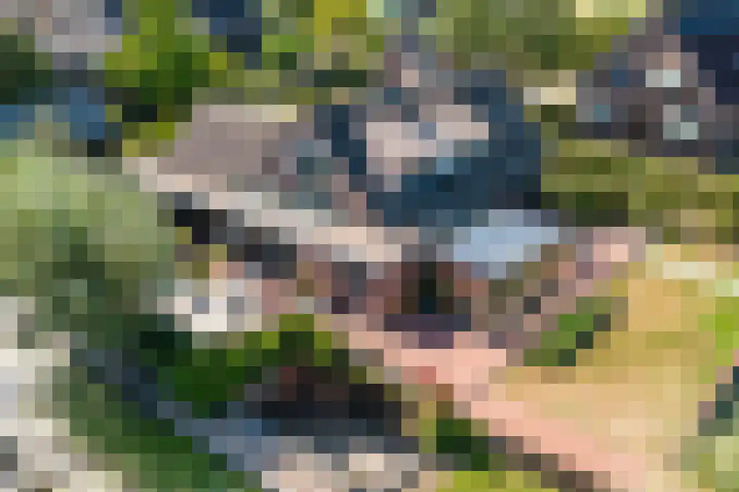 Binnendamseweg 19 Giessenburg thumbnail 51