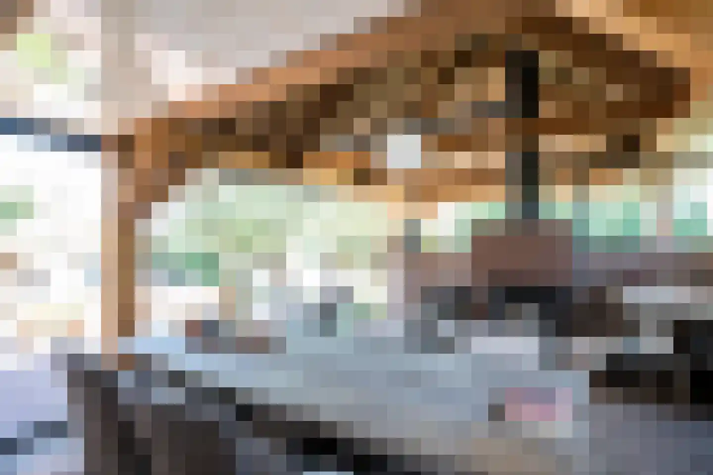 Binnendamseweg 19 Giessenburg thumbnail 57