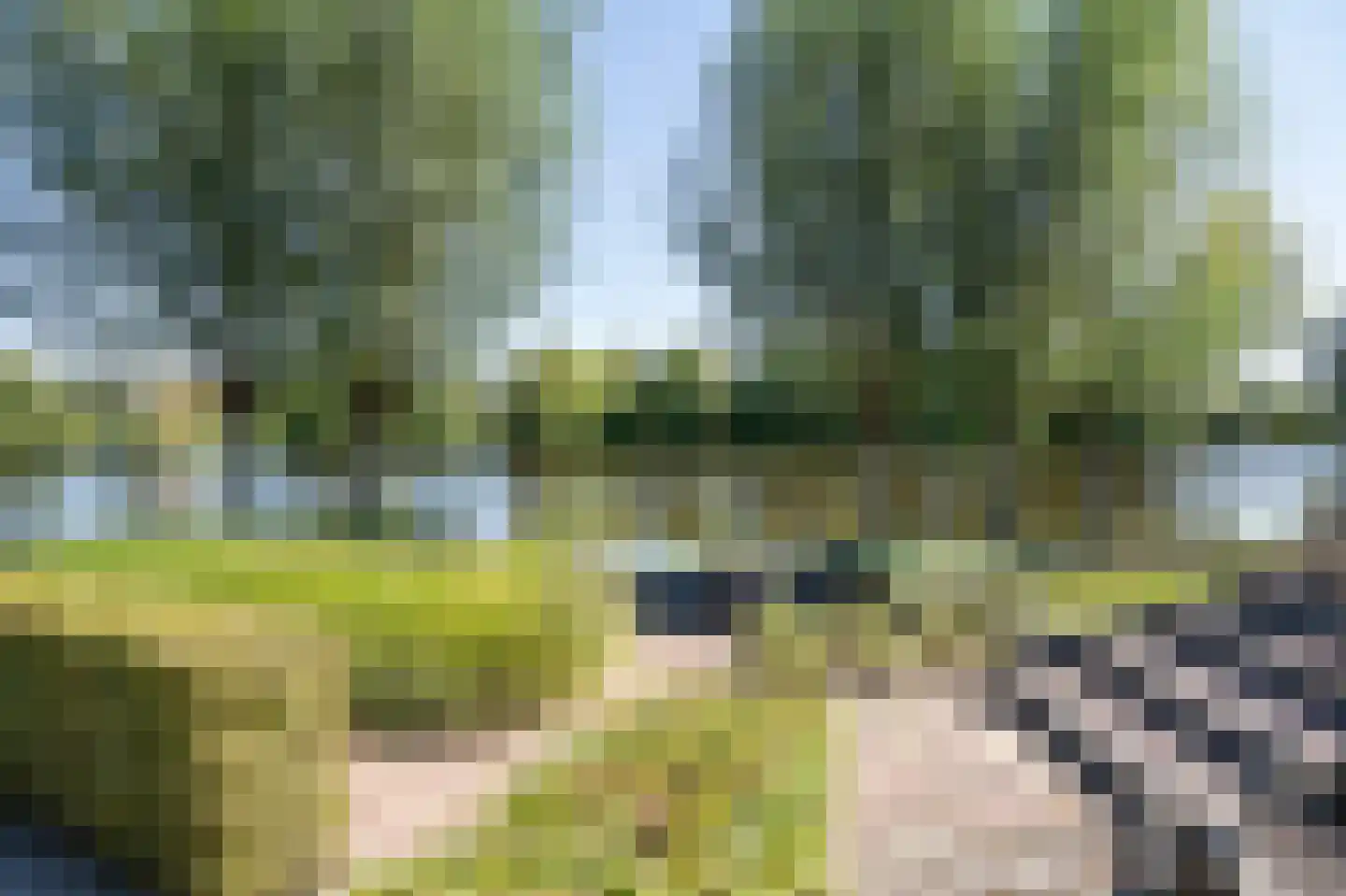 Binnendamseweg 19 Giessenburg thumbnail 62