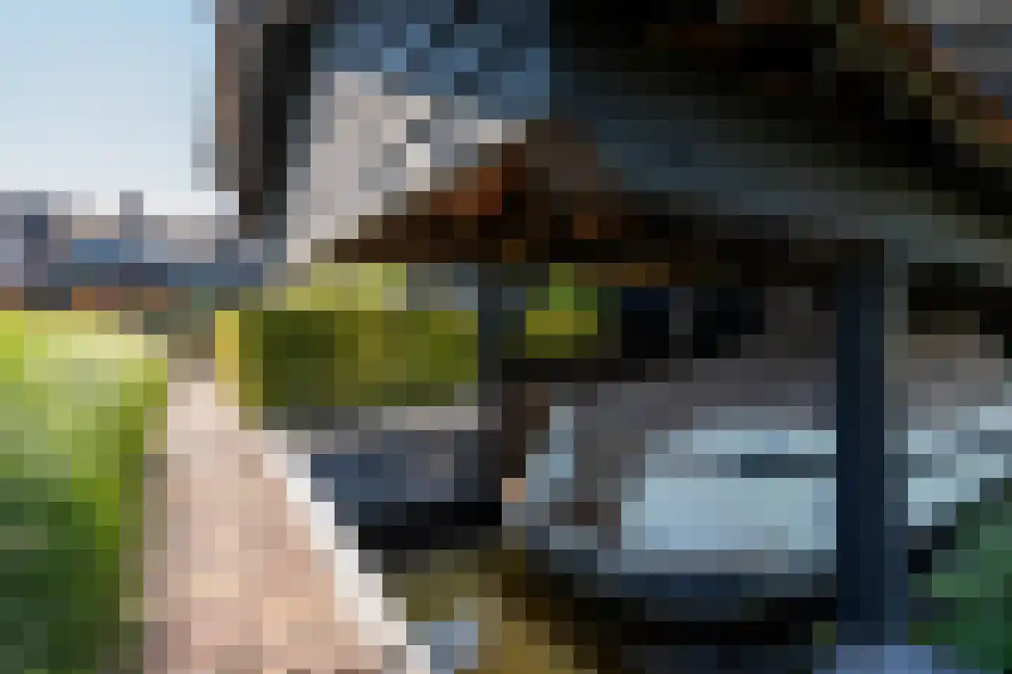 Binnendamseweg 19 Giessenburg thumbnail 69