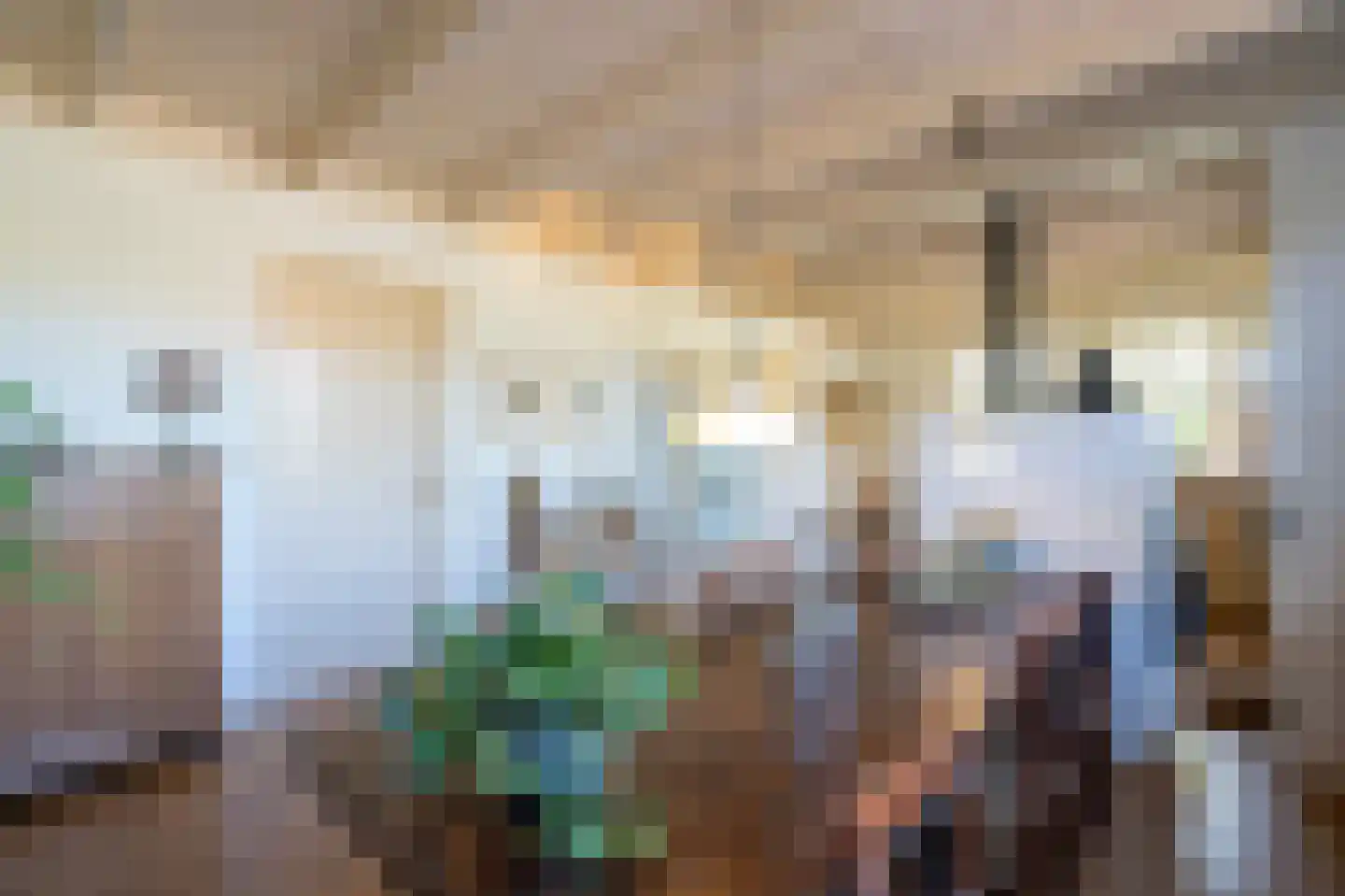 Binnendamseweg 19 Giessenburg thumbnail 8