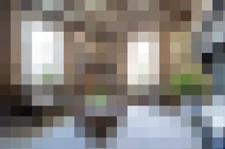 Binnendamseweg 21 Giessenburg thumbnail 12