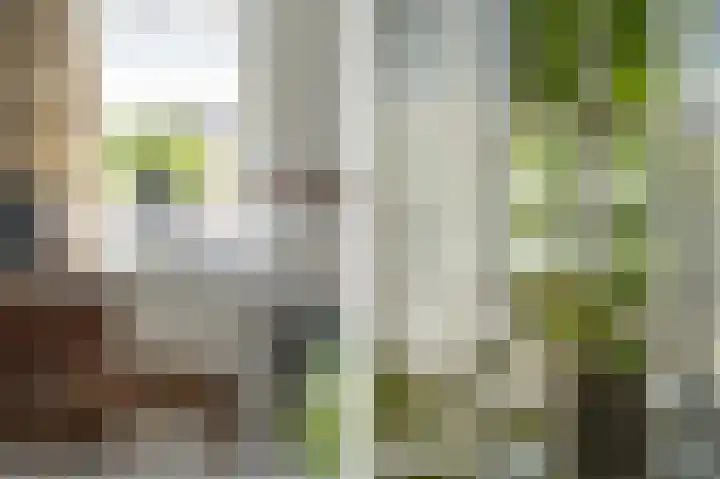 Binnendamseweg 21 Giessenburg thumbnail 26