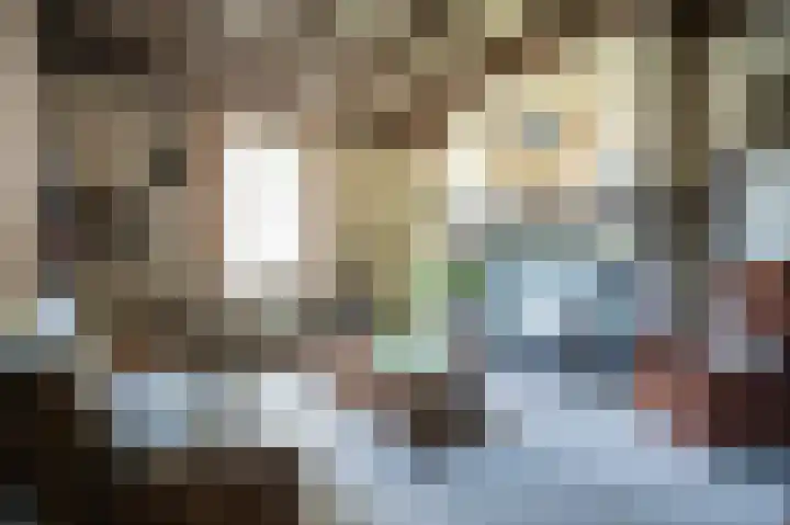 Binnendamseweg 21 Giessenburg thumbnail 4