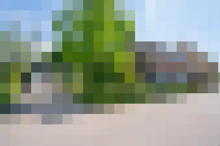 Binnendamseweg 21 Giessenburg thumbnail 45