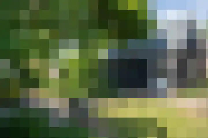 Binnendamseweg 21 Giessenburg thumbnail 48
