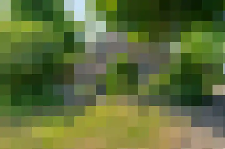 Binnendamseweg 21 Giessenburg thumbnail 5