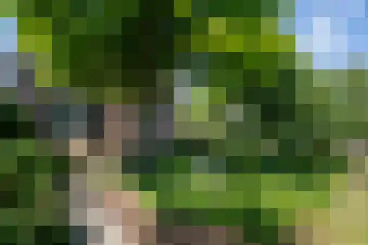 Binnendamseweg 21 Giessenburg thumbnail 51