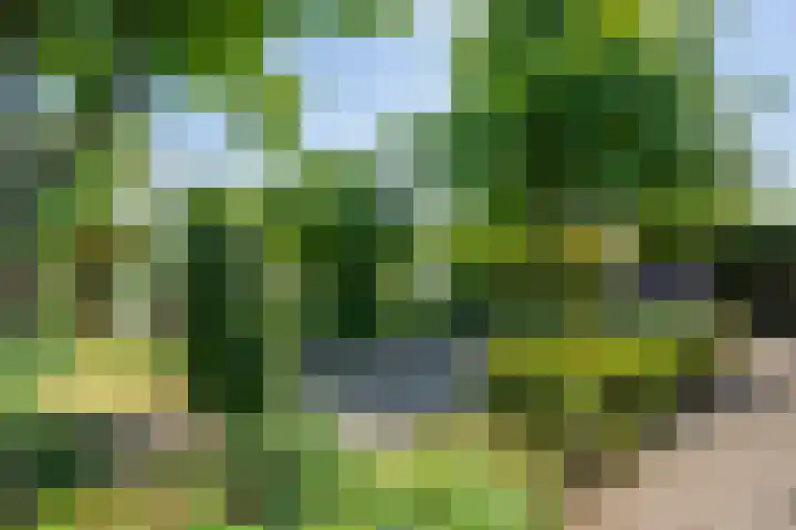 Binnendamseweg 21 Giessenburg thumbnail 52