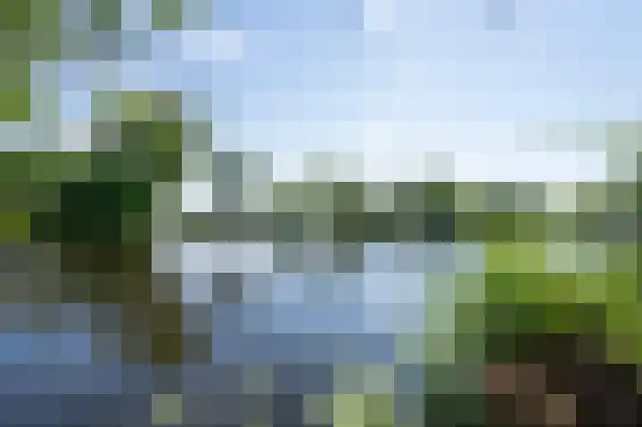 Binnendamseweg 21 Giessenburg thumbnail 55