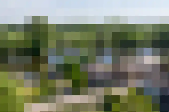 Binnendamseweg 21 Giessenburg thumbnail 60