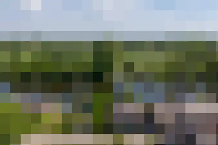 Binnendamseweg 21 Giessenburg thumbnail 7