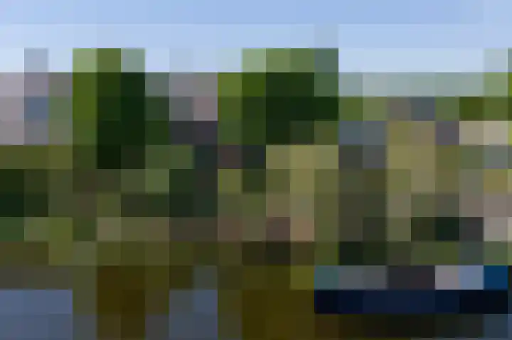 Binnendamseweg 21 Giessenburg thumbnail 8