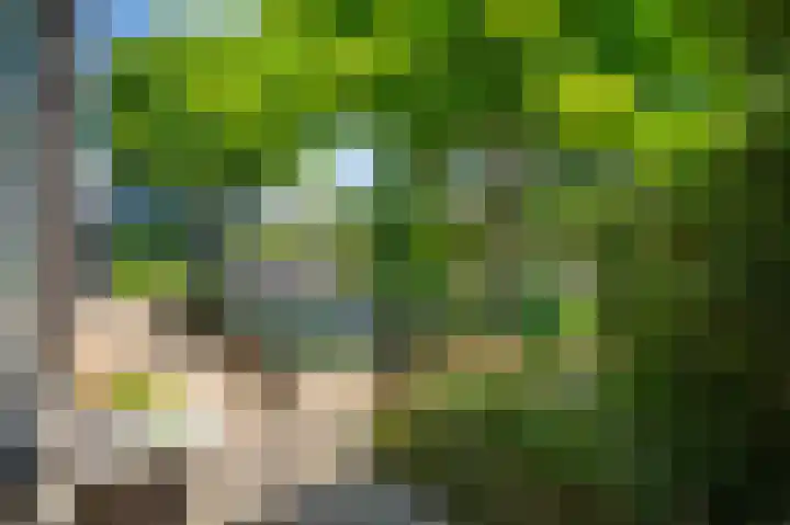 Binnendamseweg 21 Giessenburg thumbnail 9