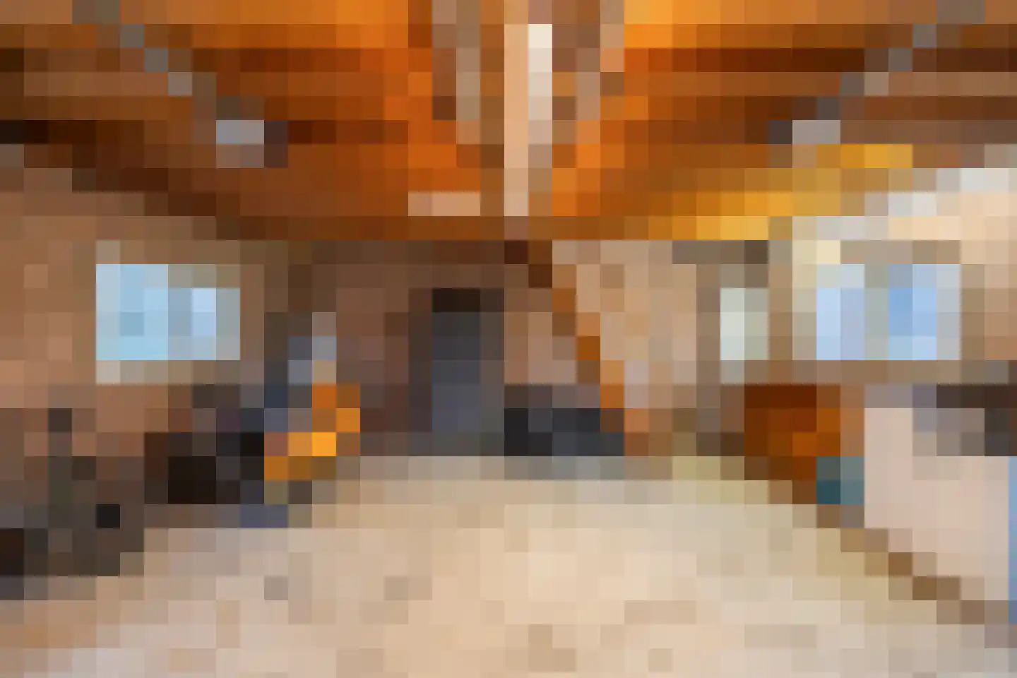 Binnendamseweg 70 Giessenburg thumbnail 25