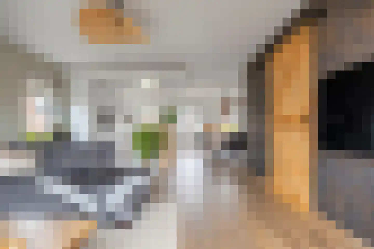 Binnendamseweg 70 Giessenburg thumbnail 4