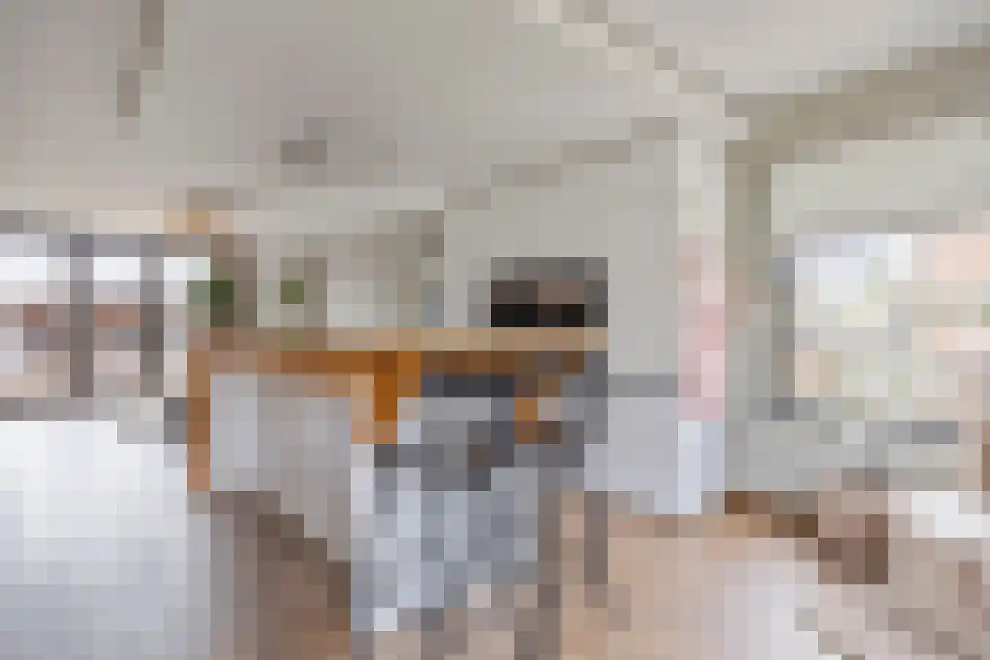 Binnendamseweg 70 Giessenburg thumbnail 9