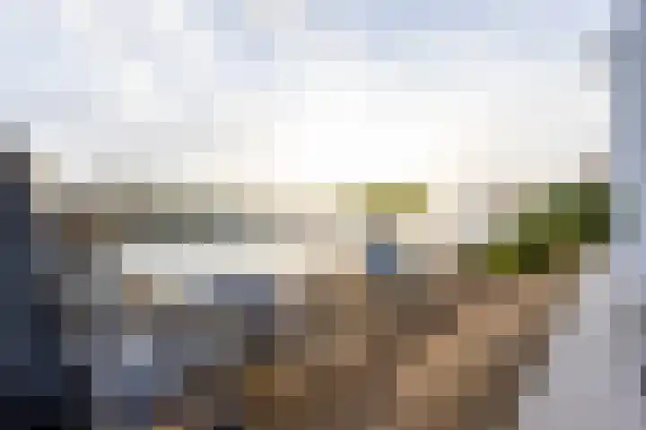 Binnendamseweg 79 Giessenburg thumbnail 34