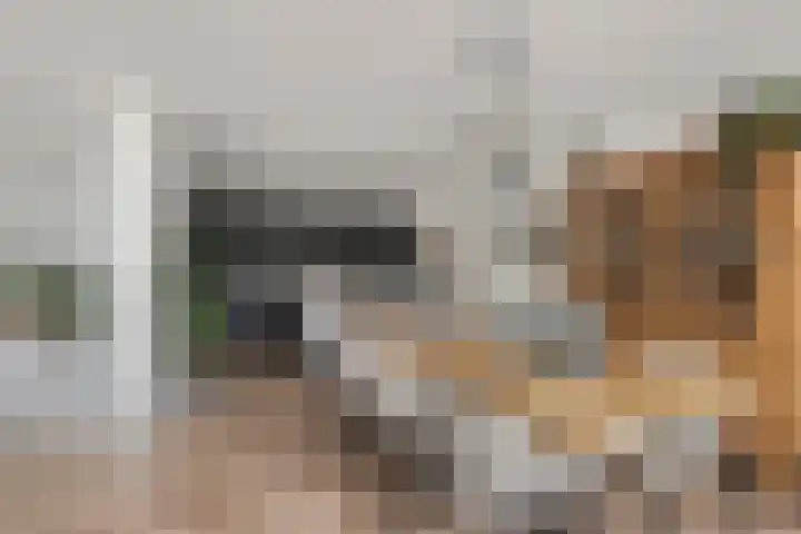Binnendijk 126 Huissen thumbnail 11