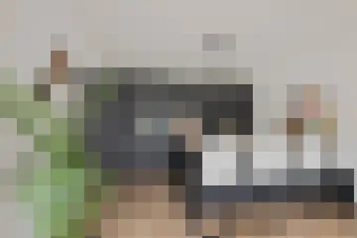Binnendijk 126 Huissen thumbnail 12