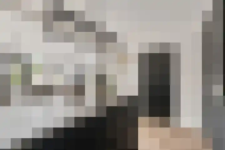 Binnendijk 126 Huissen thumbnail 14