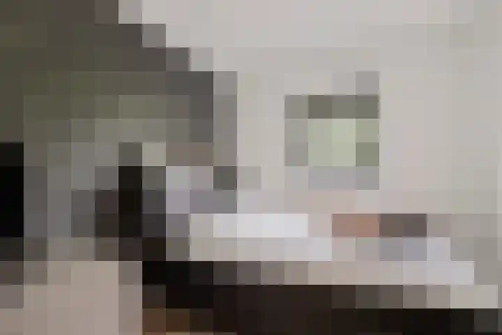 Binnendijk 126 Huissen thumbnail 19