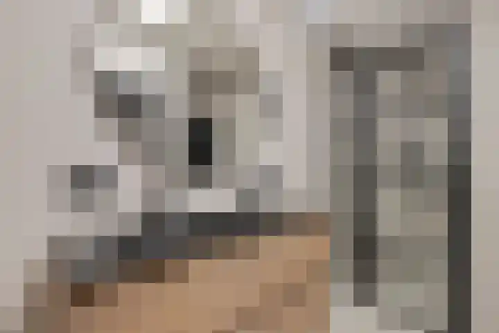Binnendijk 126 Huissen thumbnail 22