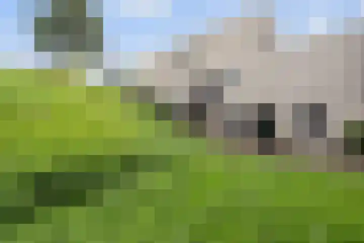 Binnendijk 126 Huissen thumbnail 23