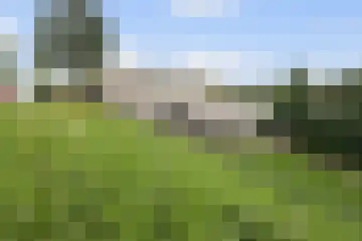 Binnendijk 126 Huissen thumbnail 24