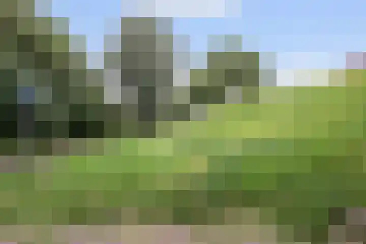 Binnendijk 126 Huissen thumbnail 25