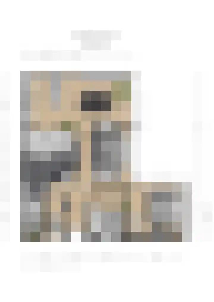 Binnendijk 126 Huissen thumbnail 26