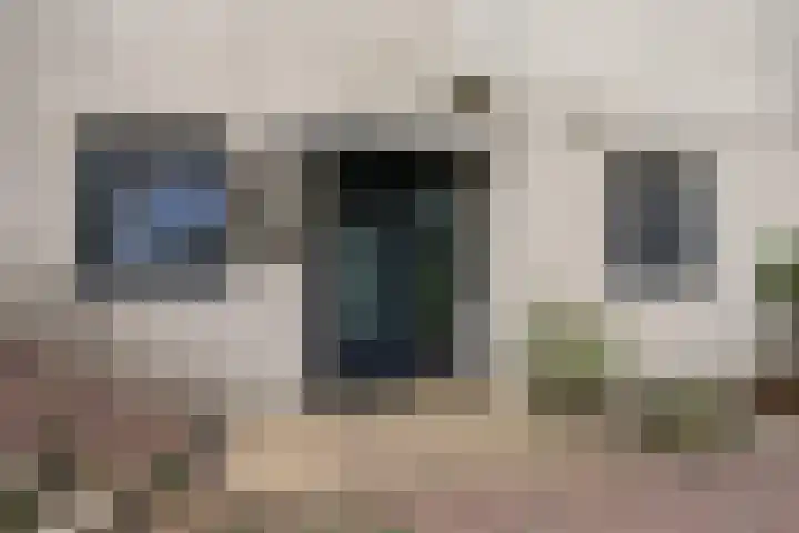 Binnendijk 126 Huissen thumbnail 4