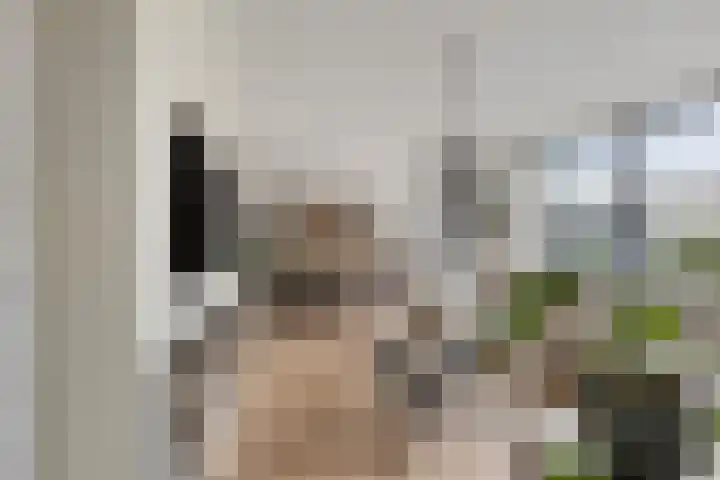 Binnendijk 126 Huissen thumbnail 6