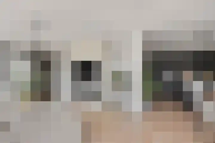Binnendijk 126 Huissen thumbnail 7